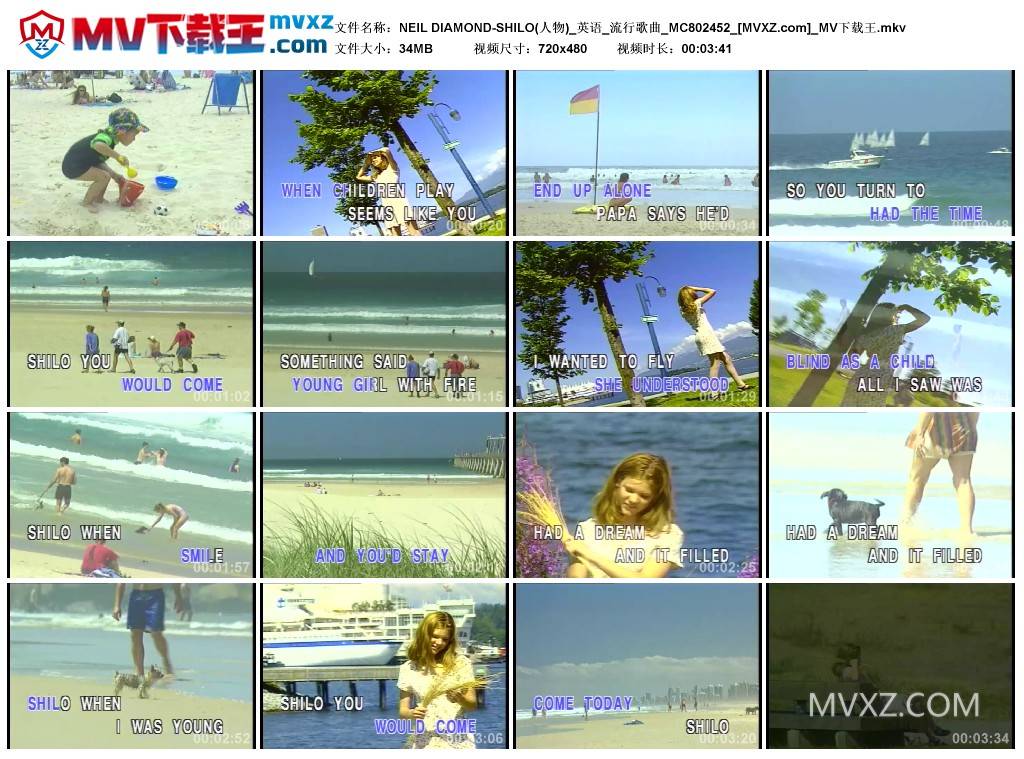 NEIL DIAMOND-SHILO(人物)_英语_流行歌曲_MC802452